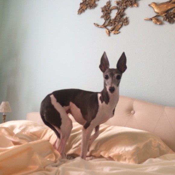 Meet your Posher, Hannah - Picture 2 of 4